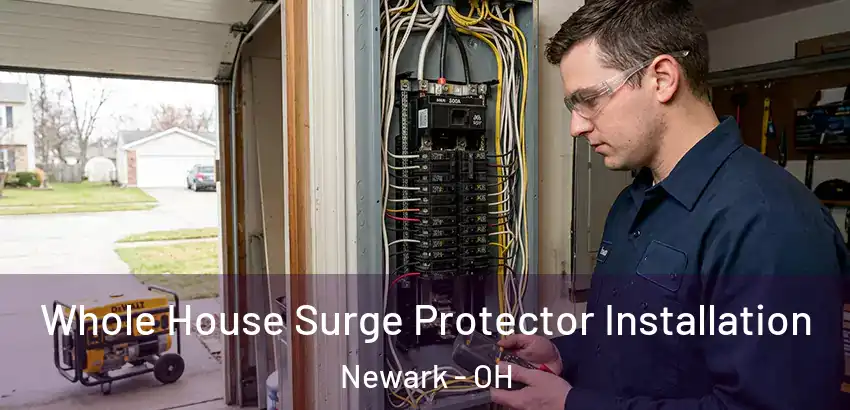 Whole House Surge Protector Installation Newark - OH